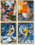 Téli madarak (4 kép 18 x 24 cm)