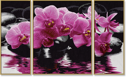 Orchideák (50 x 80 cm)