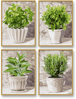 Kulináris gyógynövények (4 kép 18 x 24 cm)